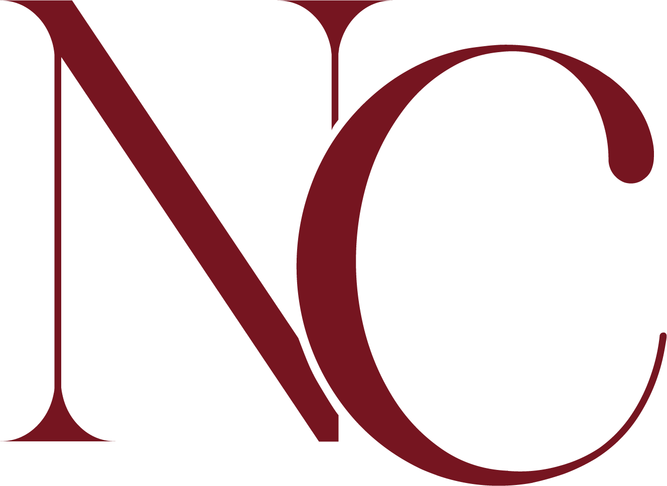 Dra. Natasha Castillo Dermatologa Salta Logo